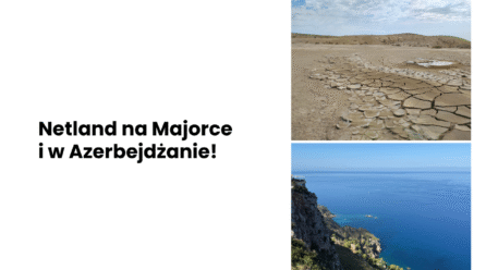 Przedłużone wakacje z Netland! 🌴